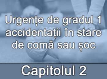 Capitolul_II_Urgente_de_gradul_1_accidentatii_in_stare_de_coma_sau_soc.jpg