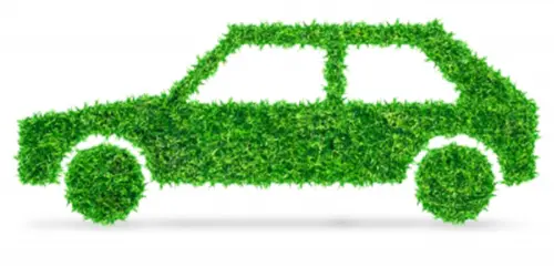Conducerea ecologică