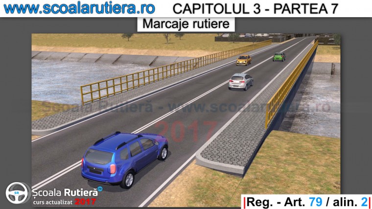 semnificatie marcaj continuu dublu